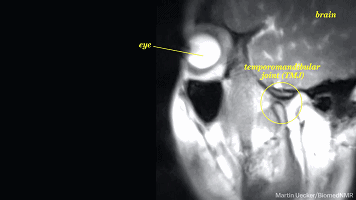 爱上黑科技, 涨知识