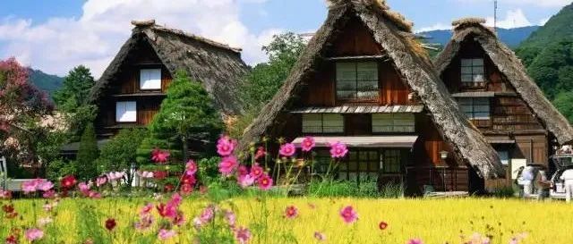 看日本农村改造经验，或是中国乡村振兴的一剂良药！