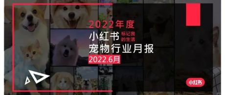 小红书2022年6月宠物行业月报