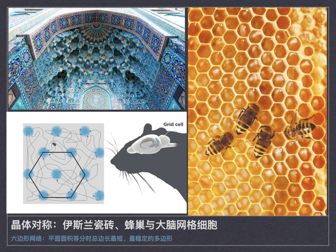 新知达人, 对称性破缺与涌现——复杂科学与艺术之间的共鸣