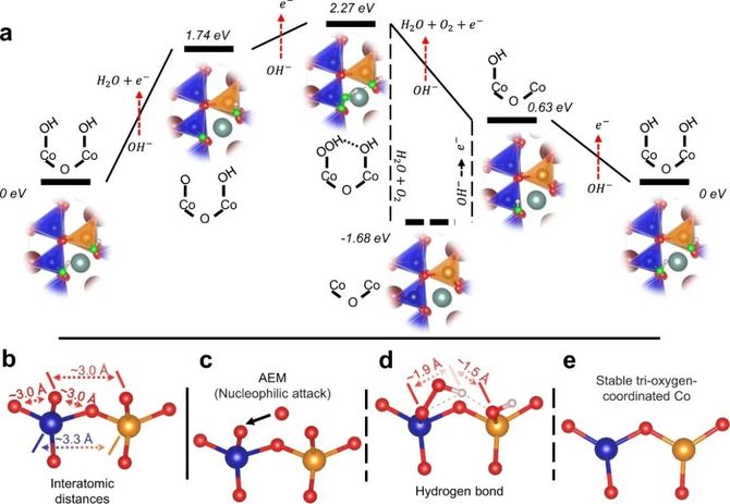 新知达人, 孟颖/徐梽川,最新Nature子刊!