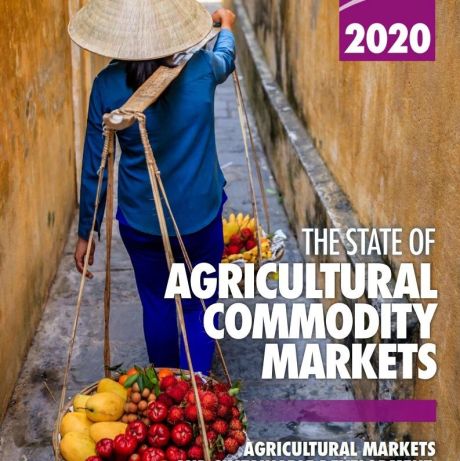 2020年农产品市场状况互动报告
