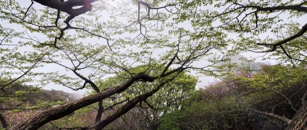 新知达人, 旅游“后浪”掀翻Z世代旅游巿场