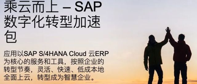 SAP转型的咋样了----SAP2021年财报解读