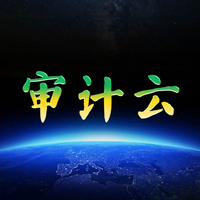 新知达人, 素简 | 国企审计之殇 & 愈(二)