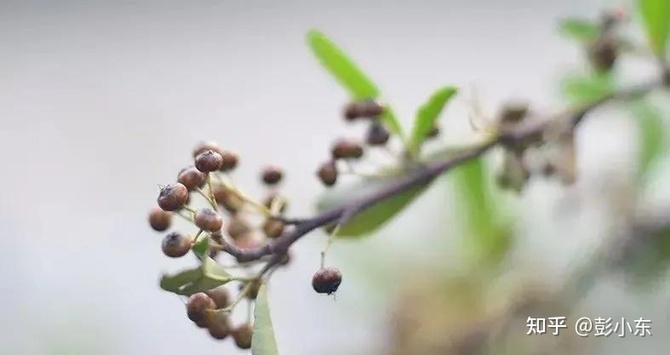 新知达人, 广告销售是我一生的事业 I 必须学会的心态调节方法