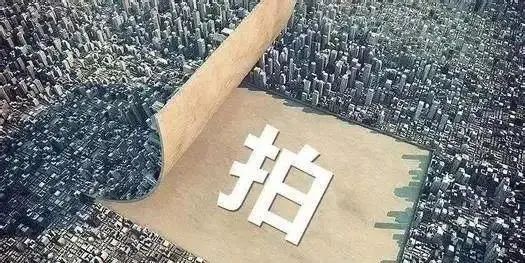 谭浩俊, 取消“价高者得”与实际“价高者得”存在温差