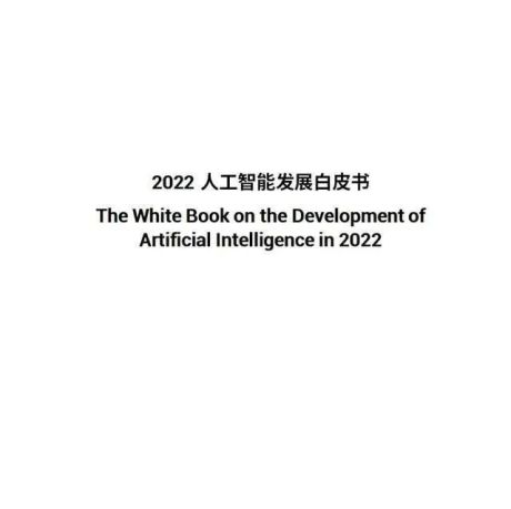 深圳市人工智能行业协会：2022年人工智能发展白皮书