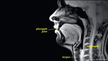 爱上黑科技, 涨知识