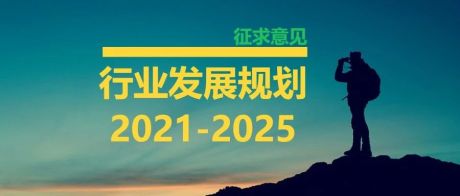 注册会计师行业发展规划（2021—2025年）