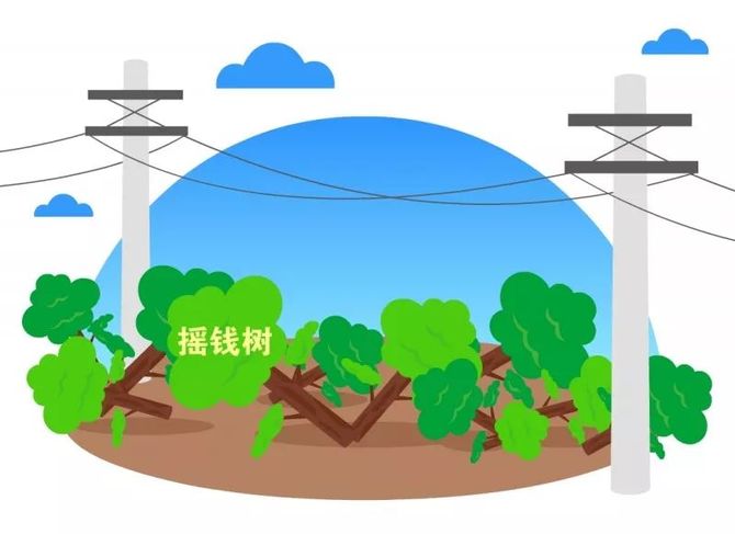 建設過程中需跨越的樹木,供電公司都進行了清理賠償,並簽訂協議.