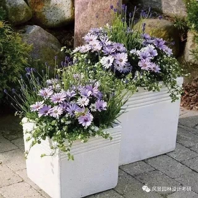 景观知识大放送 花钵 花坛 一纸丹青景观设计 商业新知 景观知识大放送 花钵 花坛 一纸丹青景观设计 商业新知