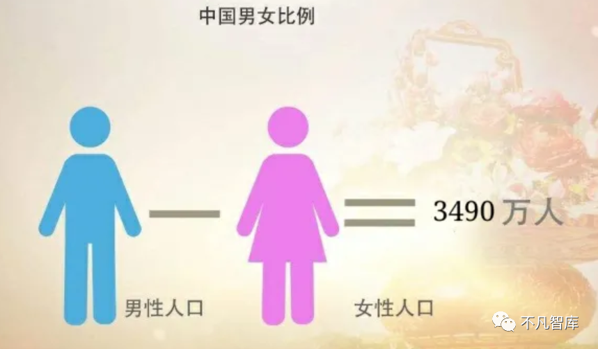 波兰男女比例图片