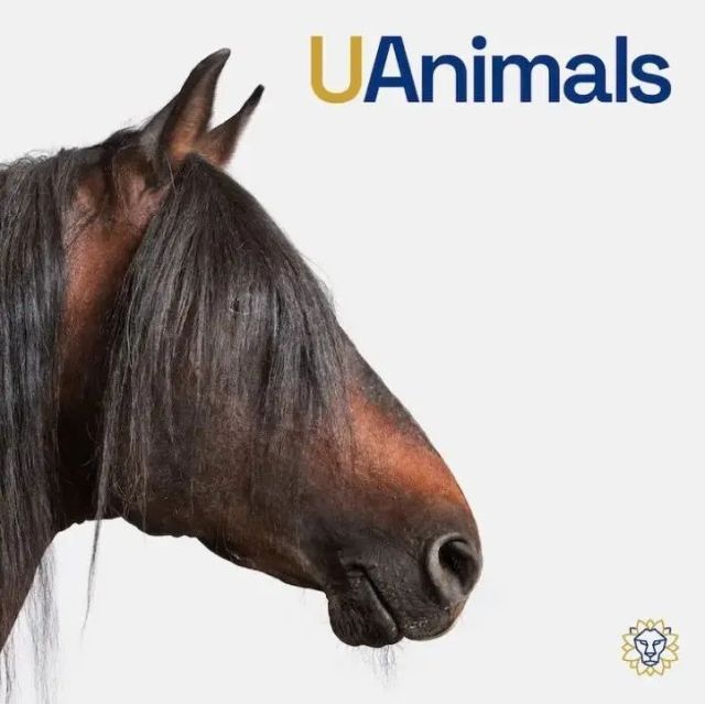 乌克兰最大的动物救助基金会的品牌标识