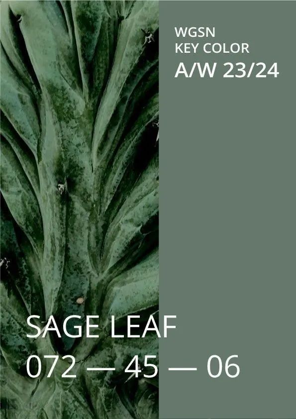2023秋冬流行色图案趋势灵感sageleaf折纸鼠尾草