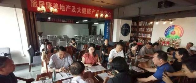 湖北省民营经济研究会文旅康养专业委员会开始筹备