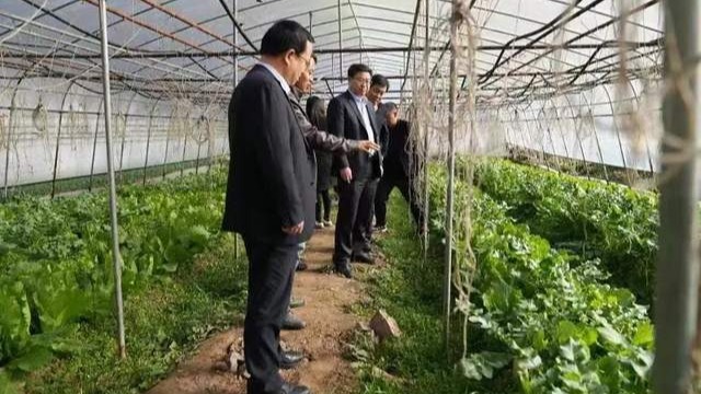 中国煤科西安研究院领导到西乡调研助力乡村振兴工作