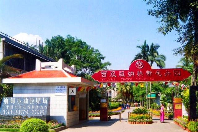 新知图谱, 云南边境缅甸皇家赌场游记攻略