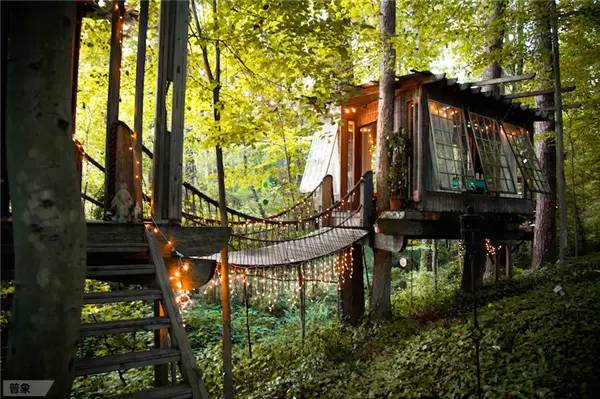 梦想中的童话树屋南非星空下的旅馆亚特兰大森林中的秘密基地