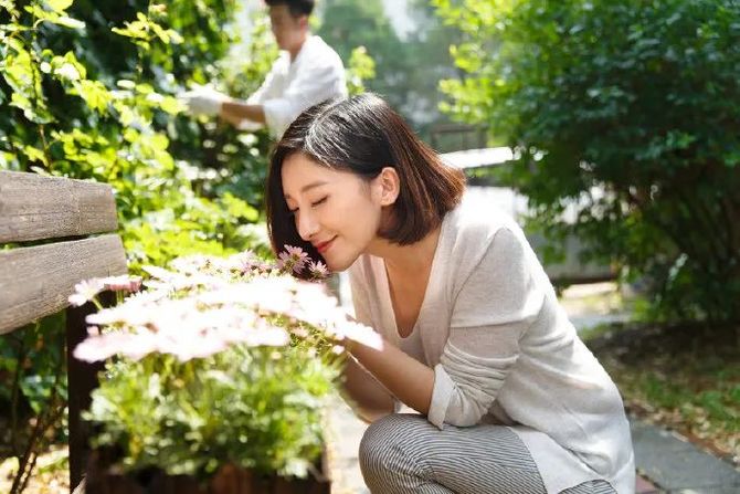 新知达人, 【荐影】超有治愈效果的五部电影