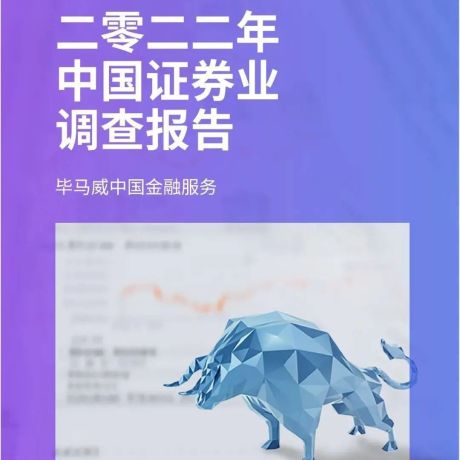 2022年中国证券业调查报告