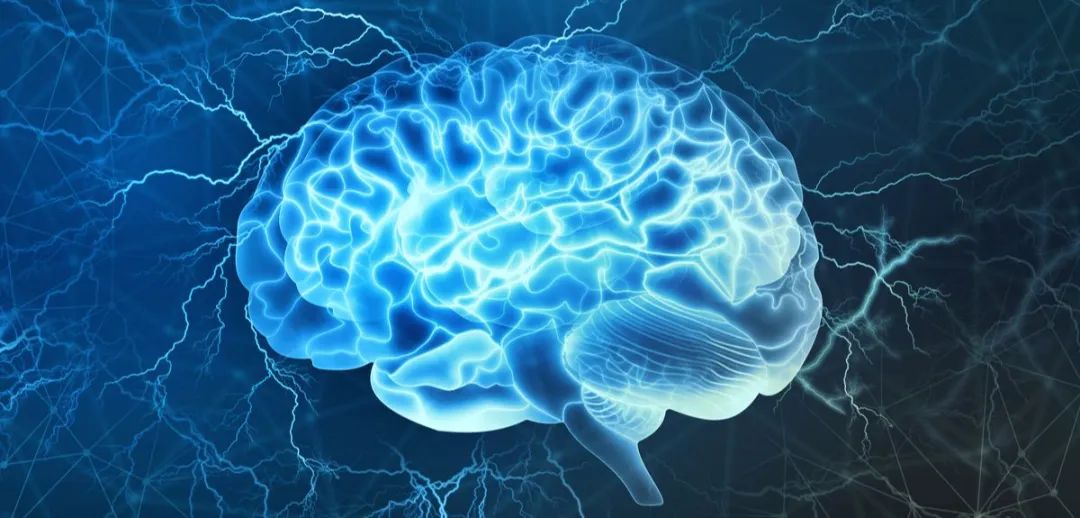 新知达人, 【brain】神经复杂系统前沿:关于认知大脑的两种观念