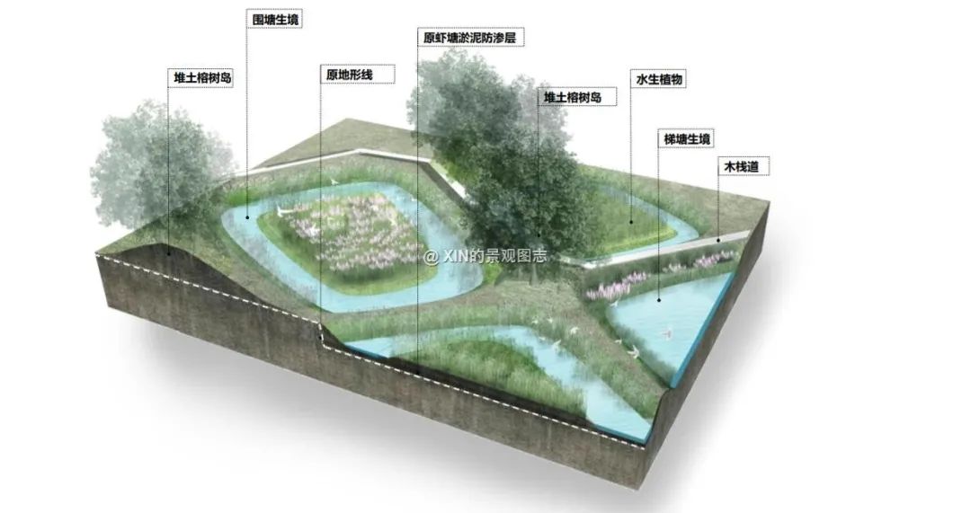 土人的湿地设计法 