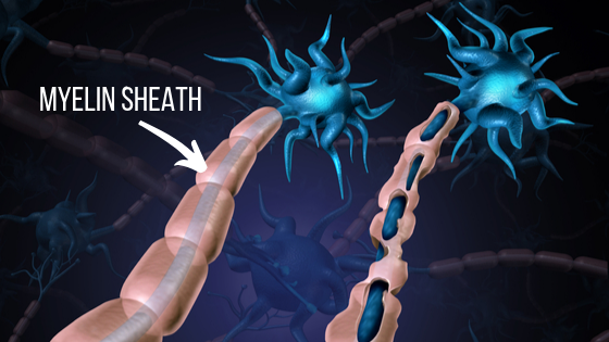 "我是谁" "我在哪" "我要做什么" 这些才是青春期孩子的主要任务