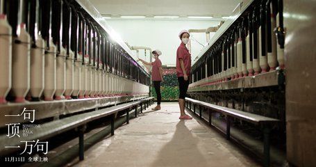 新知达人, 经典书籍分享丨《一句顶一万句》:延宕百年的孤独
