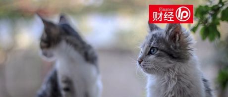报告丨IT桔子：2020年中国宠物消费市场分析报告