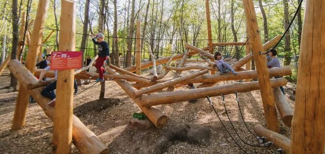 forest is not just a playground, this is an educational space