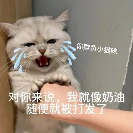 表情包丨哄不好了