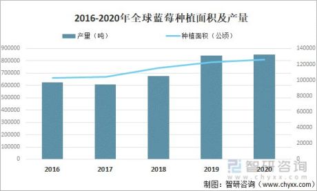 洞察2022：中国全球及中国蓝莓发展现状及趋势