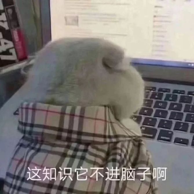 新知达人, 前端如何快速提高工程化能力