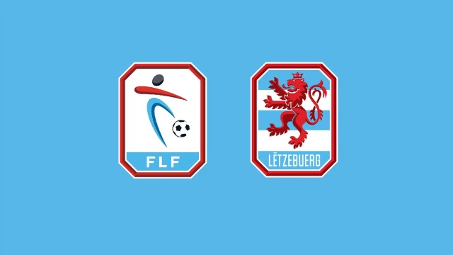 国内知名vi设计公司分享|卢森堡足协和国家足球队公布全新标识