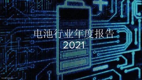 2021电池年度报告中文版1