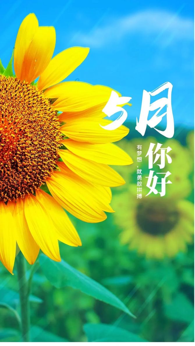 e客先生, 文案 | 5月你好朋友圈文案祝福语和发圈图片素材(精选)