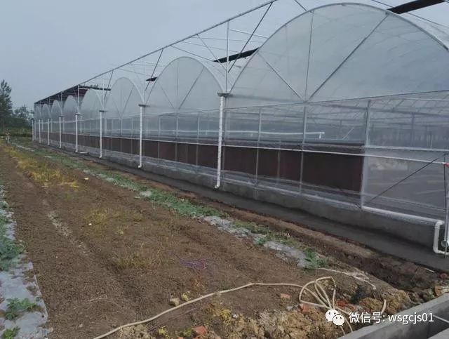 造价经济 使用范围广的薄膜连栋温室大棚如何设计建造 温室工程技术 商业新知 造价经济 使用范围广的薄膜连栋温室大棚如何设计建造 温室工程技术 商业新知