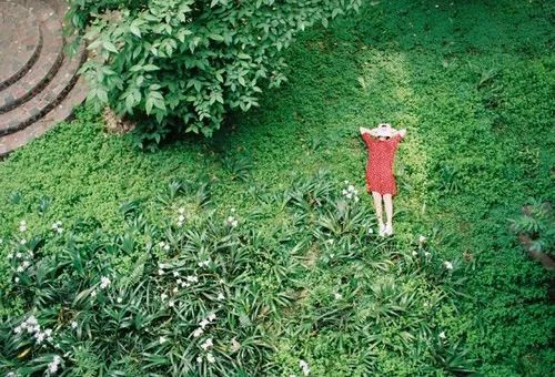 新知达人, 垃圾情绪分类:90%的有害情绪垃圾,被倒给了最亲的人