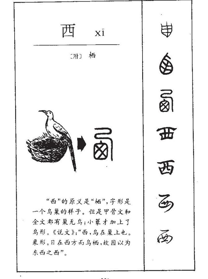 西:xī,始見於商代甲骨文及商代金文,其古字形像鳥巢,本義指鳥入巢