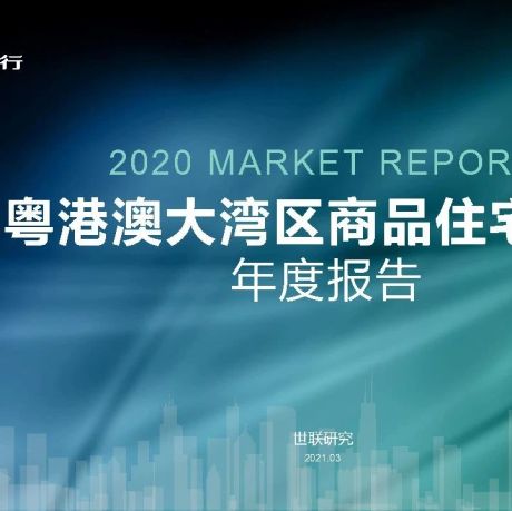 2020年粤港澳大湾区商品住宅市场年度报告-世联行