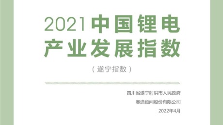 2021中国锂电产业发展指数