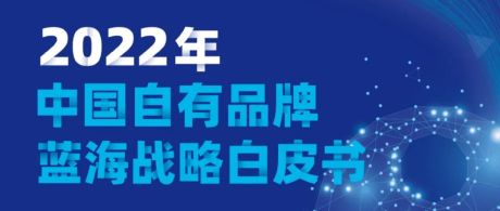 2022中国自有品牌蓝海战略白皮书