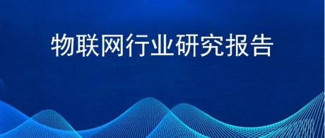 2022年中国物联网行业市场前景及投资研究报告