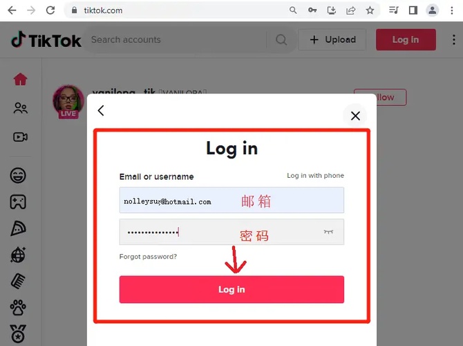 TikTok网页版登录入口 TikTok购买平台