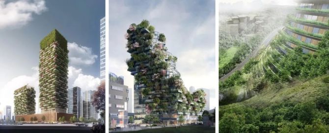 新知达人, 中国多座城市森林建筑正在规划建设中，最快项目今年将完工