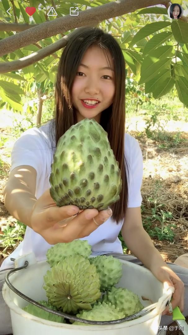新知图谱, 女大学生借助快手卖家乡水果 俩月获益数万元
