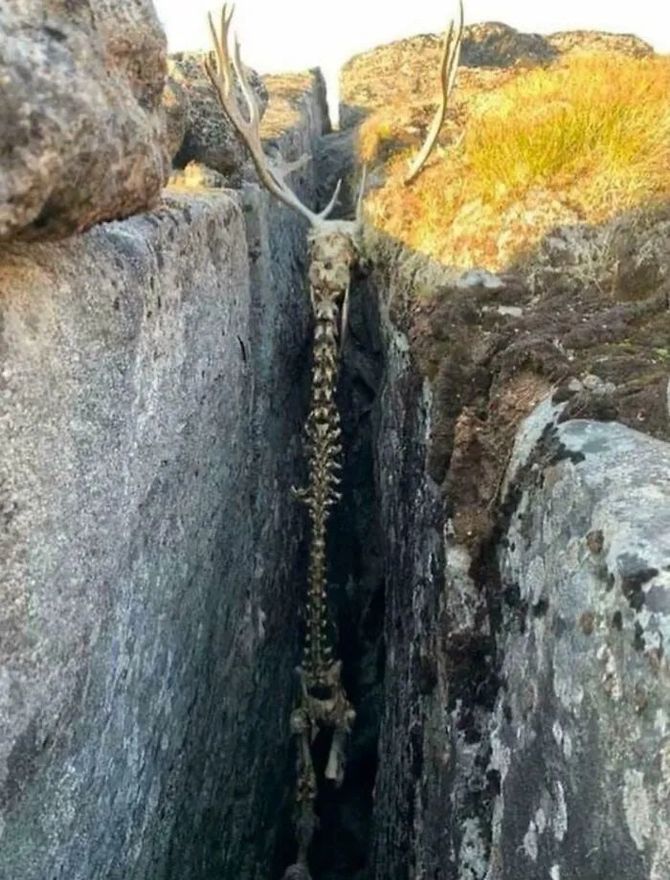 慎入19张细思恐极的图片最后的最恐怖