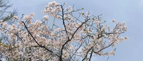 从苏宁收购家乐福中国说起：看不懂的线下零售战局 | 商业观察