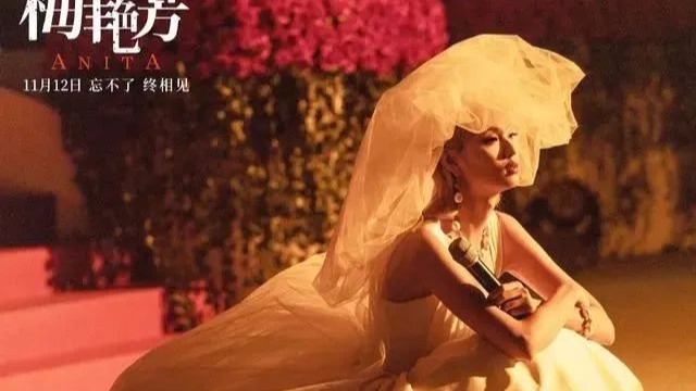 第四十届香港电影金像奖完整获奖名单公布，《梅艳芳》成最大赢家